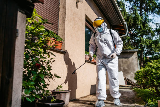 Best Termite Control Services  in Mukilteo, WA