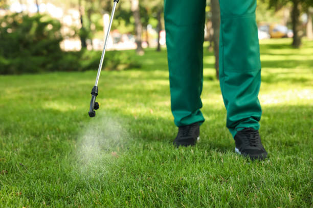 Best Insect Control  in Mukilteo, WA