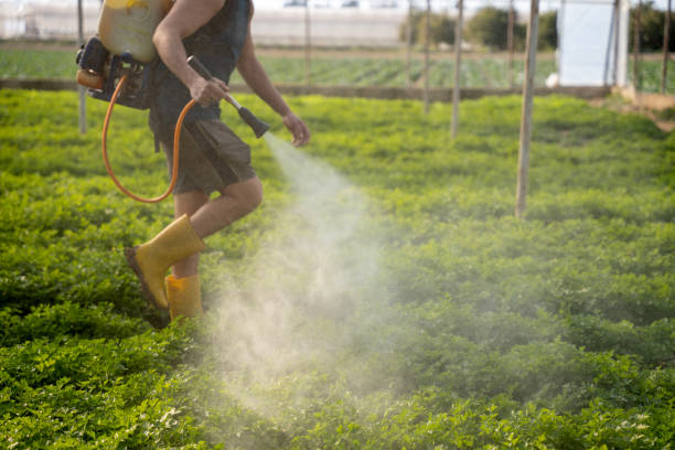 Best Commercial Pest Control Services  in Mukilteo, WA