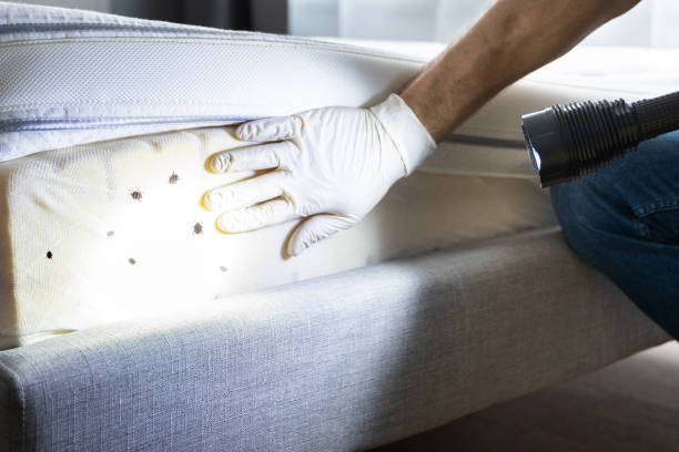 Best Wildlife Control Services  in Mukilteo, WA