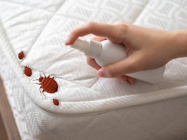 Best Flea Control Services  in Mukilteo, WA