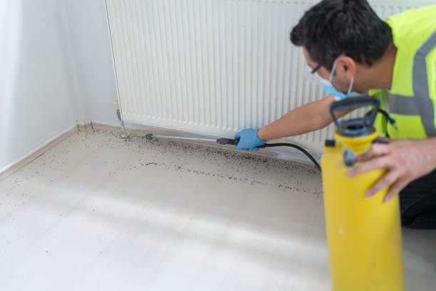 Best Wasp Removal Services  in Mukilteo, WA
