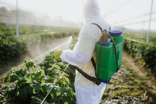 Best Best Pest Control Companies  in Mukilteo, WA